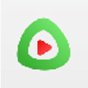 瓜皮万能播放器v1.2